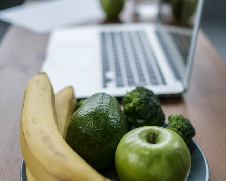 Relaci�n de la alimentaci�n con el sistema nervioso